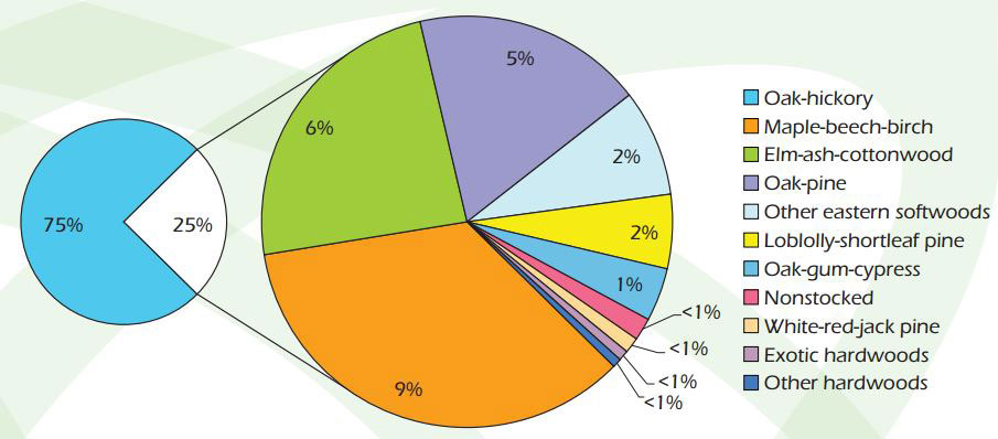 forest inventory graph