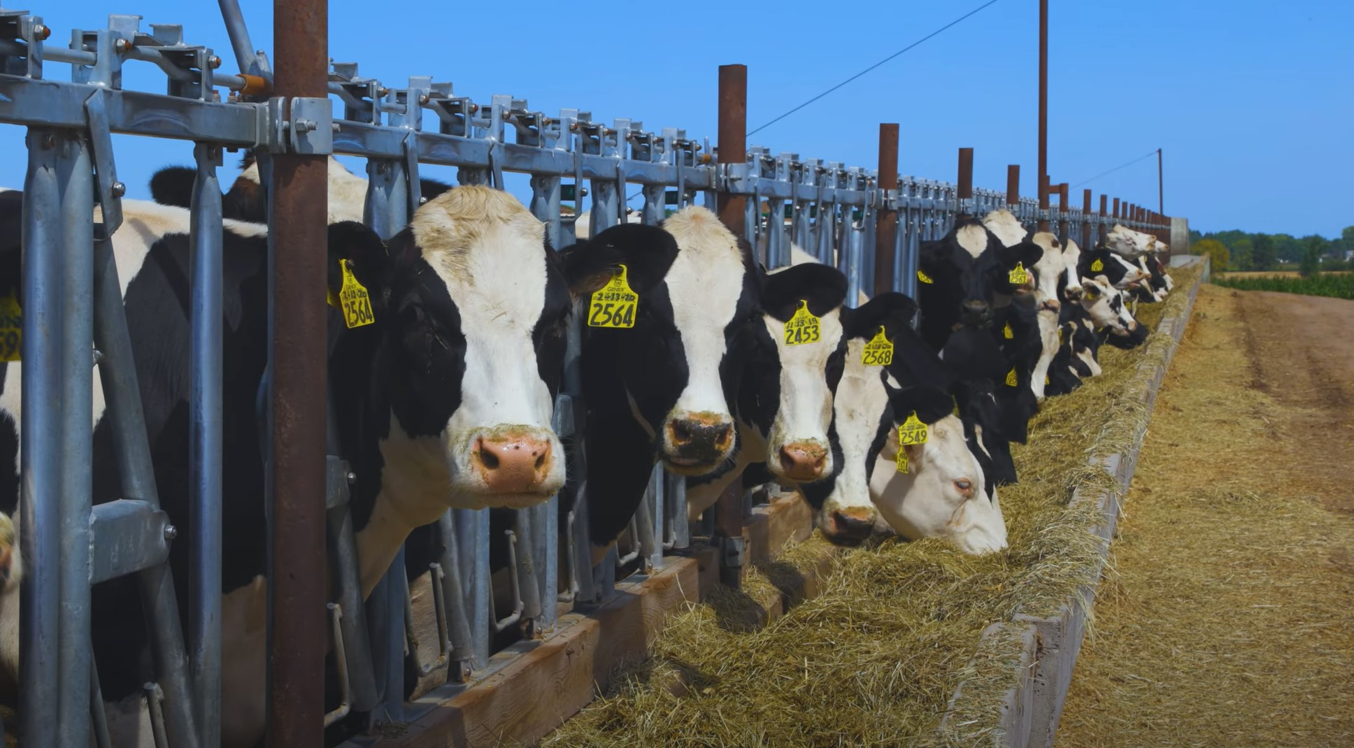 Our Agriculture Sector is Vital in Benton County Main Photo