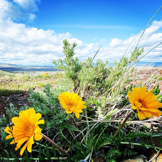 Public land in Grant County, OR