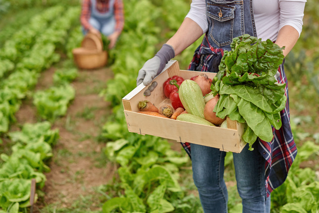 It’s National Farmers Market Week in Eastern Oregon! Photo