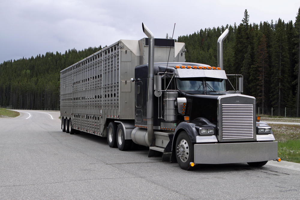 Trucking Industry Support on Track for Supply Chain Main Photo