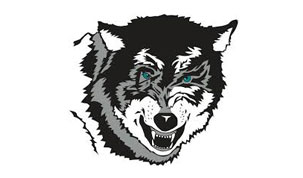 Southwest Valley Schools's Logo