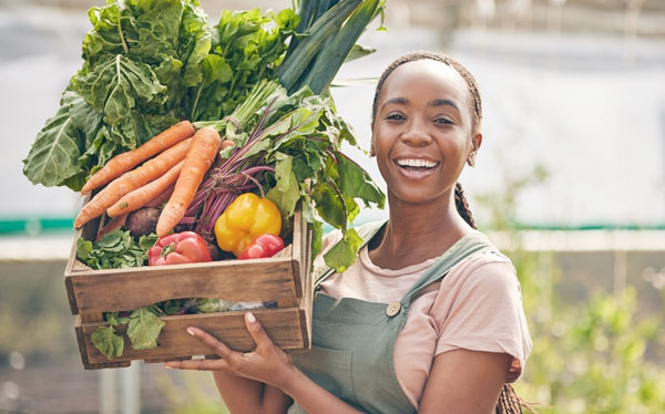Click the MBOLD Harnesses the Region’s Tech Environment to Help Food Producers Find Sustainable Solutions Slide Photo to Open