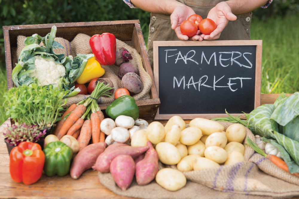 Support Local Agribusiness in Boone County, Today! Main Photo