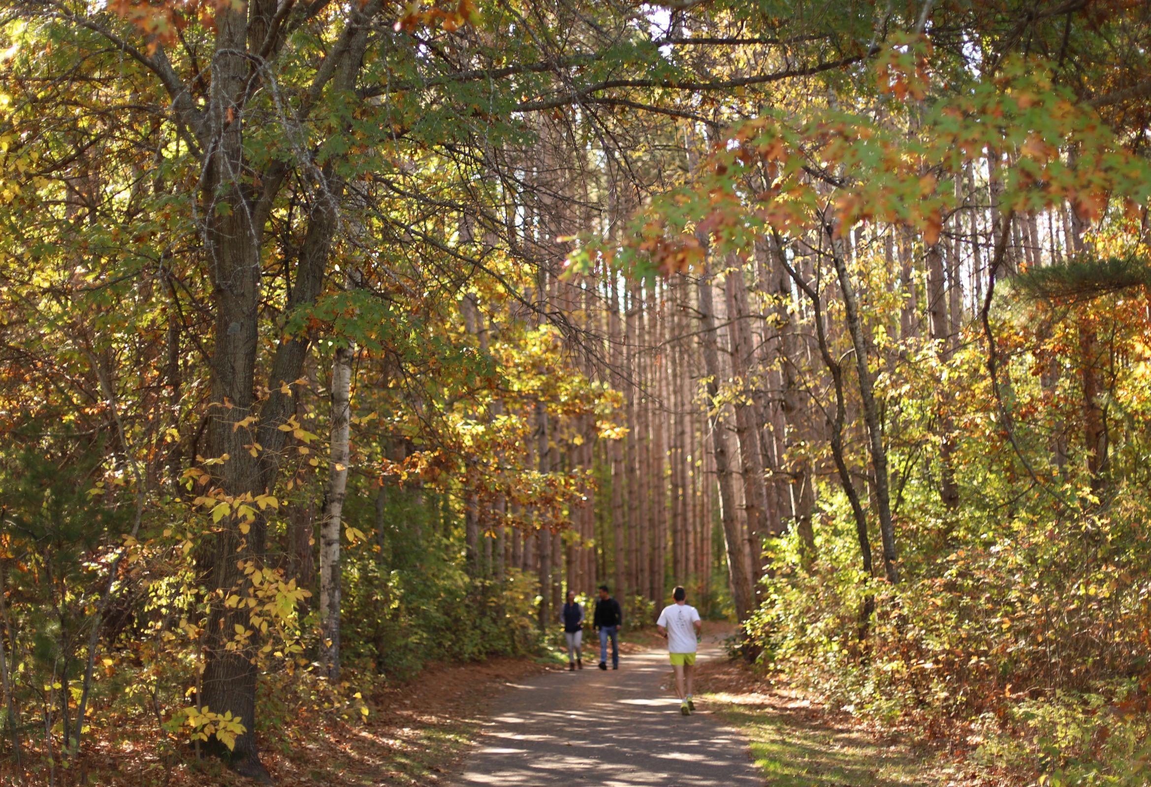 Shoreview is Full of Fall Fun! Main Photo