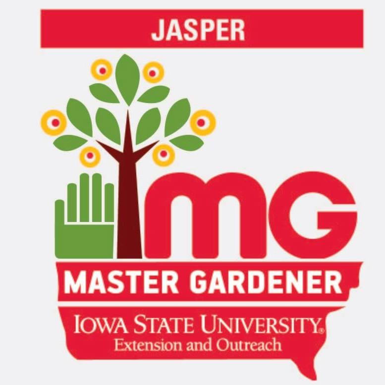 Event Promo Photo For Jasper County Master Gardeners Evergreen Planter Workshop