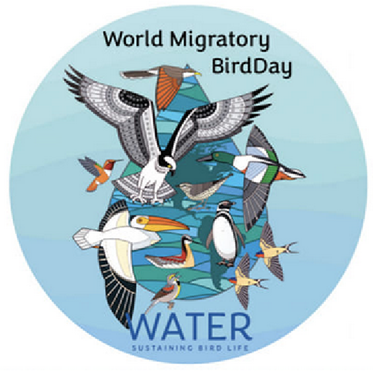 Event Promo Photo For World Migratory Bird Day at Neal Smith National Wildlife Refuge