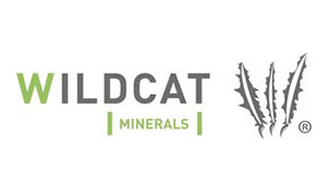 Wildcat Minerals's Logo