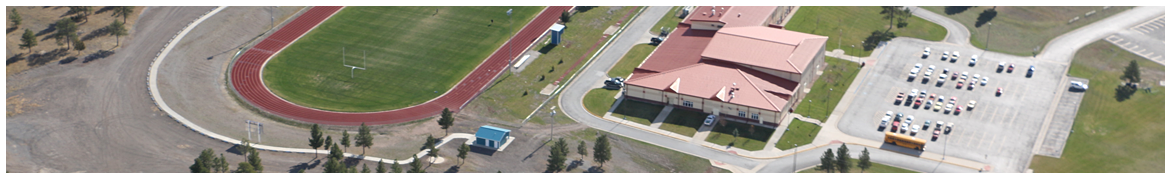 Contact Tiger Transfer