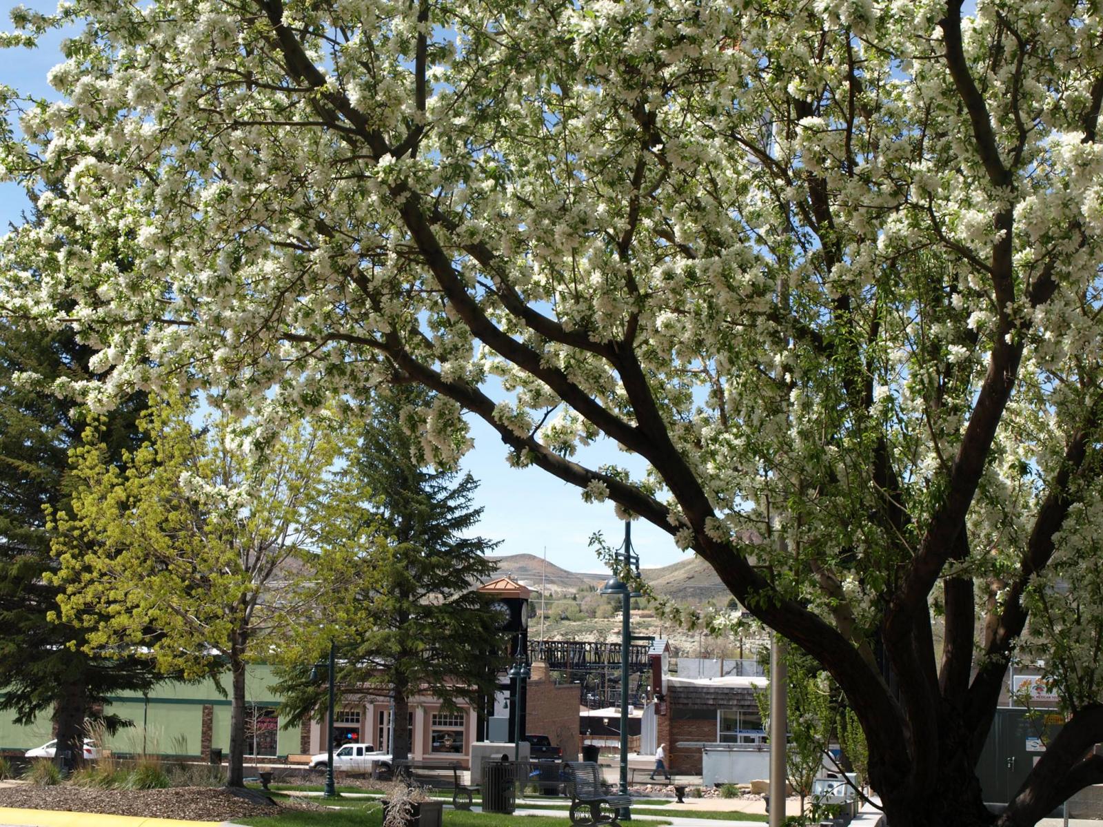 Green River Clock Tower Plaza Photo