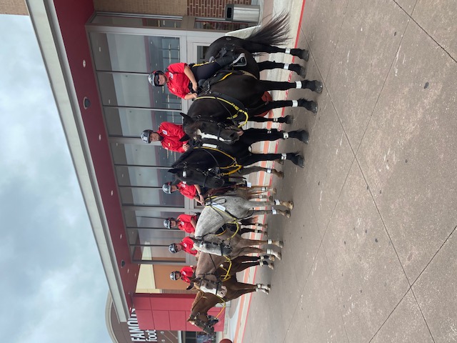 The Mounted Patrol is Saddled Up to Make WMPID Safer Main Photo