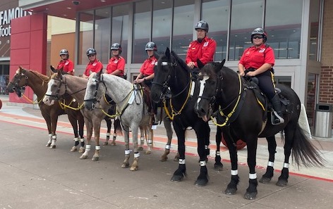 mounted patrol