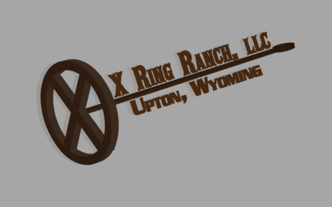 X Ring Ranch's Logo