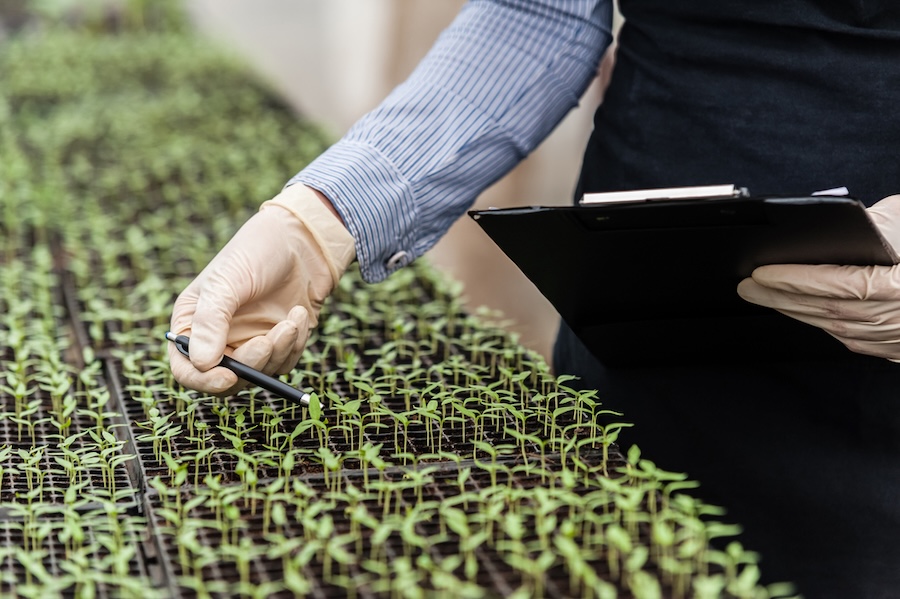 From Seed to Salad: Upton High School Greenhouse Inspires Next Generation of Growers Photo