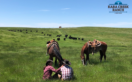 The image shows a scenic working cattle ranch experience at Kara Creek Ranch located in Sundance, Wyoming, in the Black Hills.