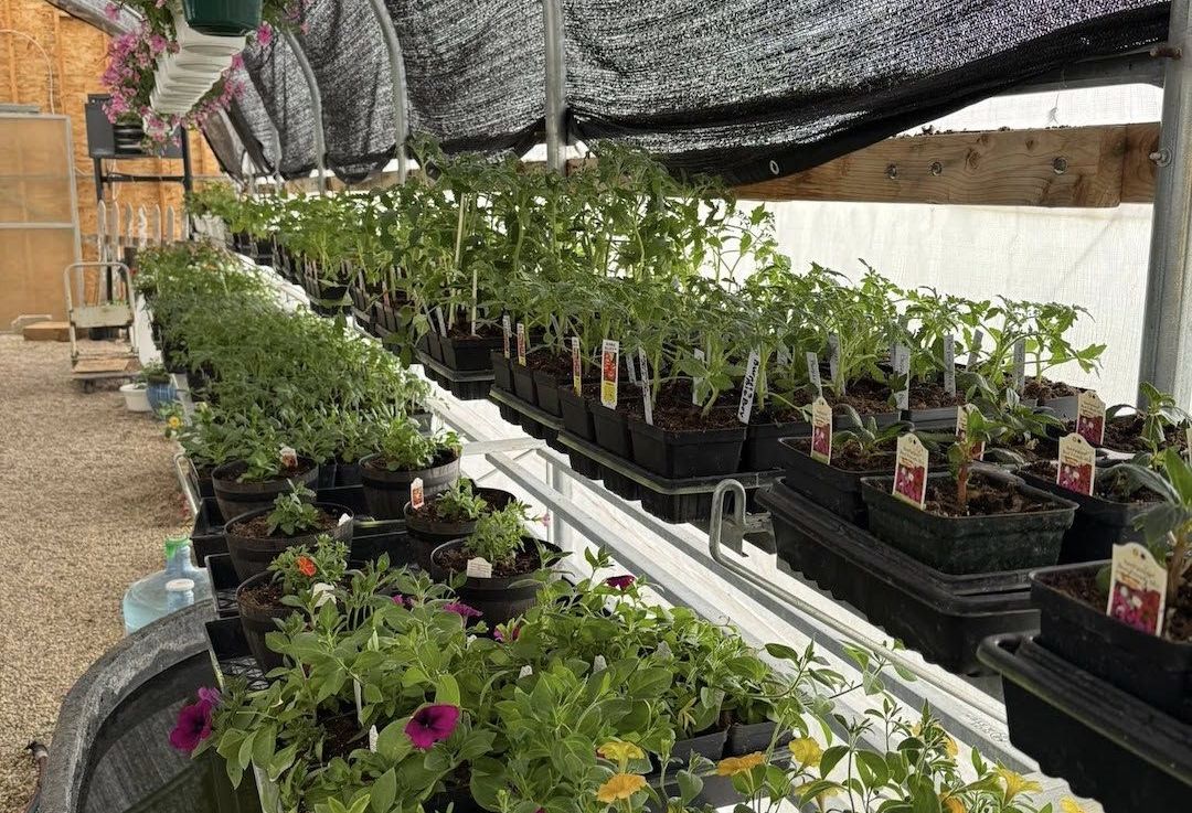 Bar D Greenhouse and Gifts is Excited to be Open for the Season Photo - Click Here to See