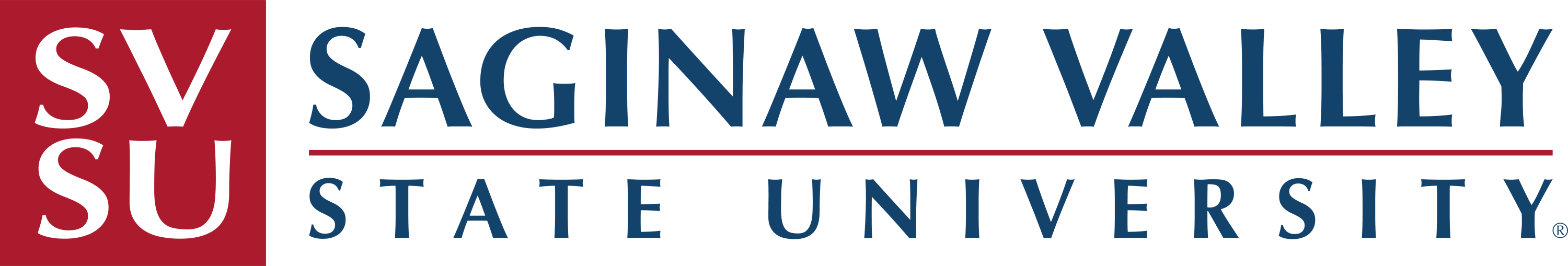 Saginaw Valley State University College of Science, Engineering & Technology Image