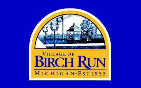 Village of Birch Run's Image