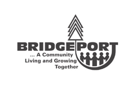 Bridgeport Charter Township's Logo