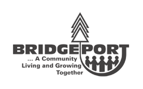 Bridgeport Charter Township DDA - $4,000 Contributor's Image