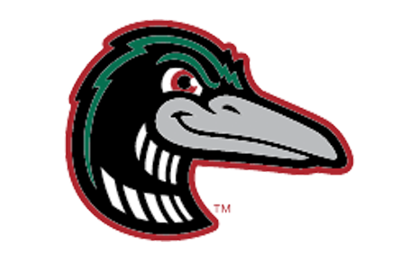 Great Lakes Loons's Logo