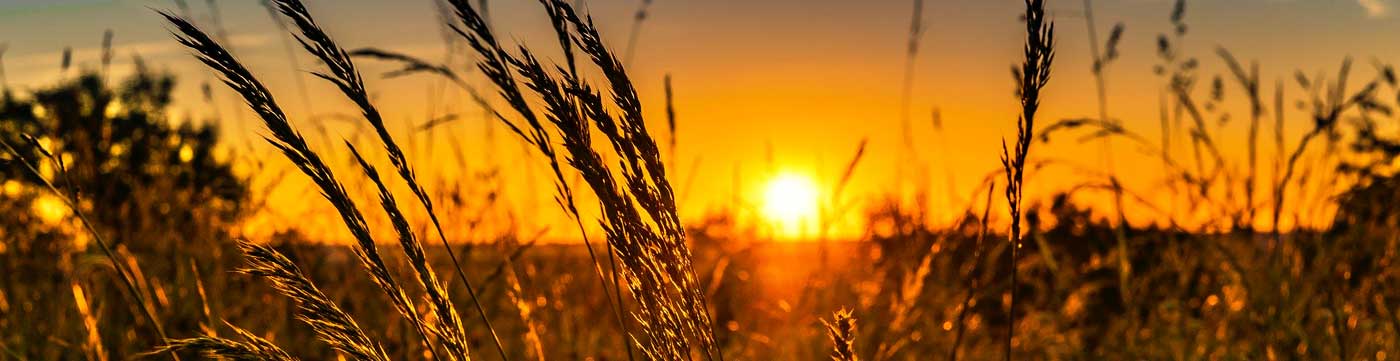 Ohio County, KY History