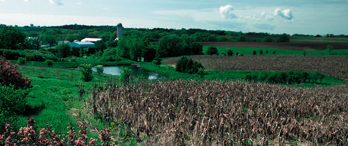 farm and fields