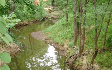 Bear Creek Baseball & Softball Fields Photo