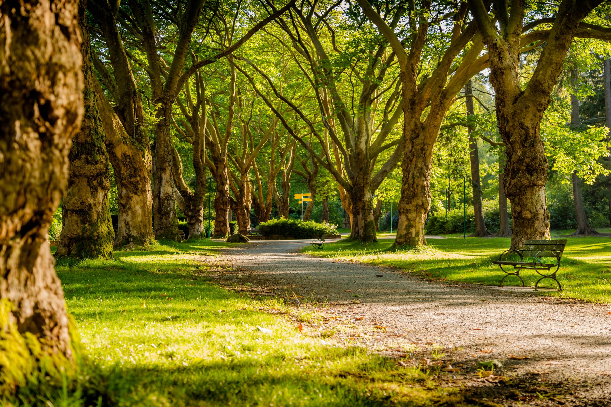 Dallas Park & Recreation Photo