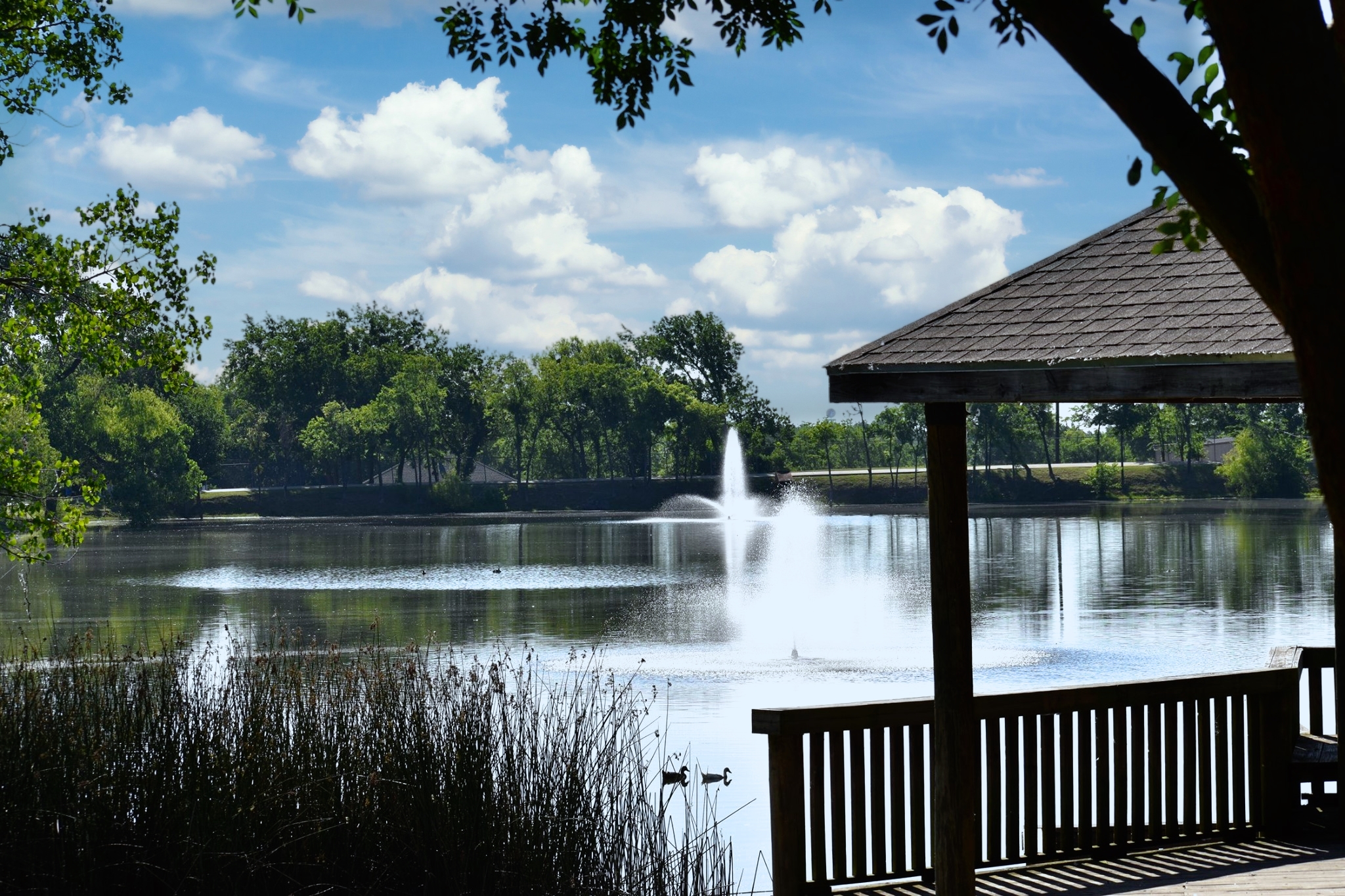 city lake park Photo