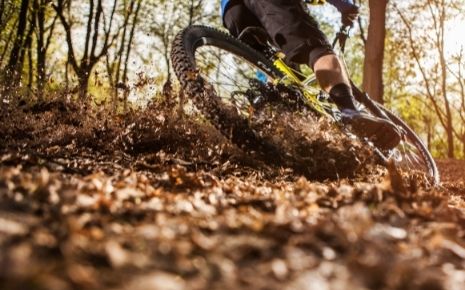 Rio Oso Mountain Bikes Trails Photo