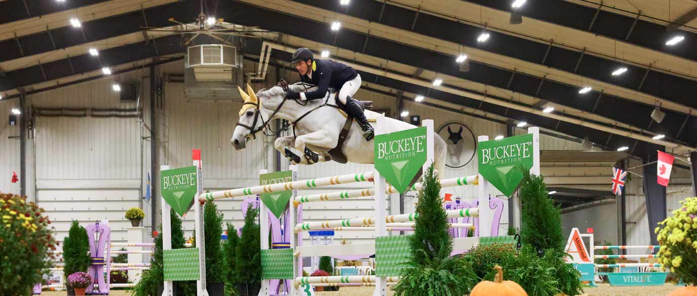 horse and rider on show jumping course