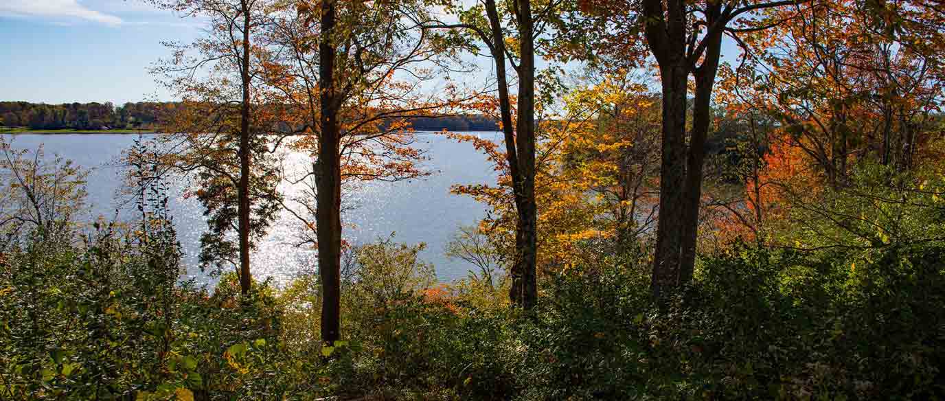 autumn colors on trees by a lake