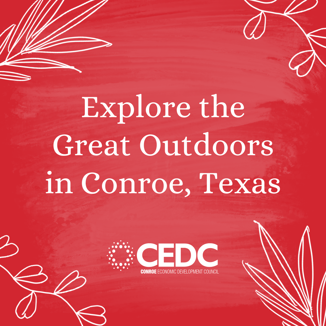 Go explore the outdoors in Conroe! main photo