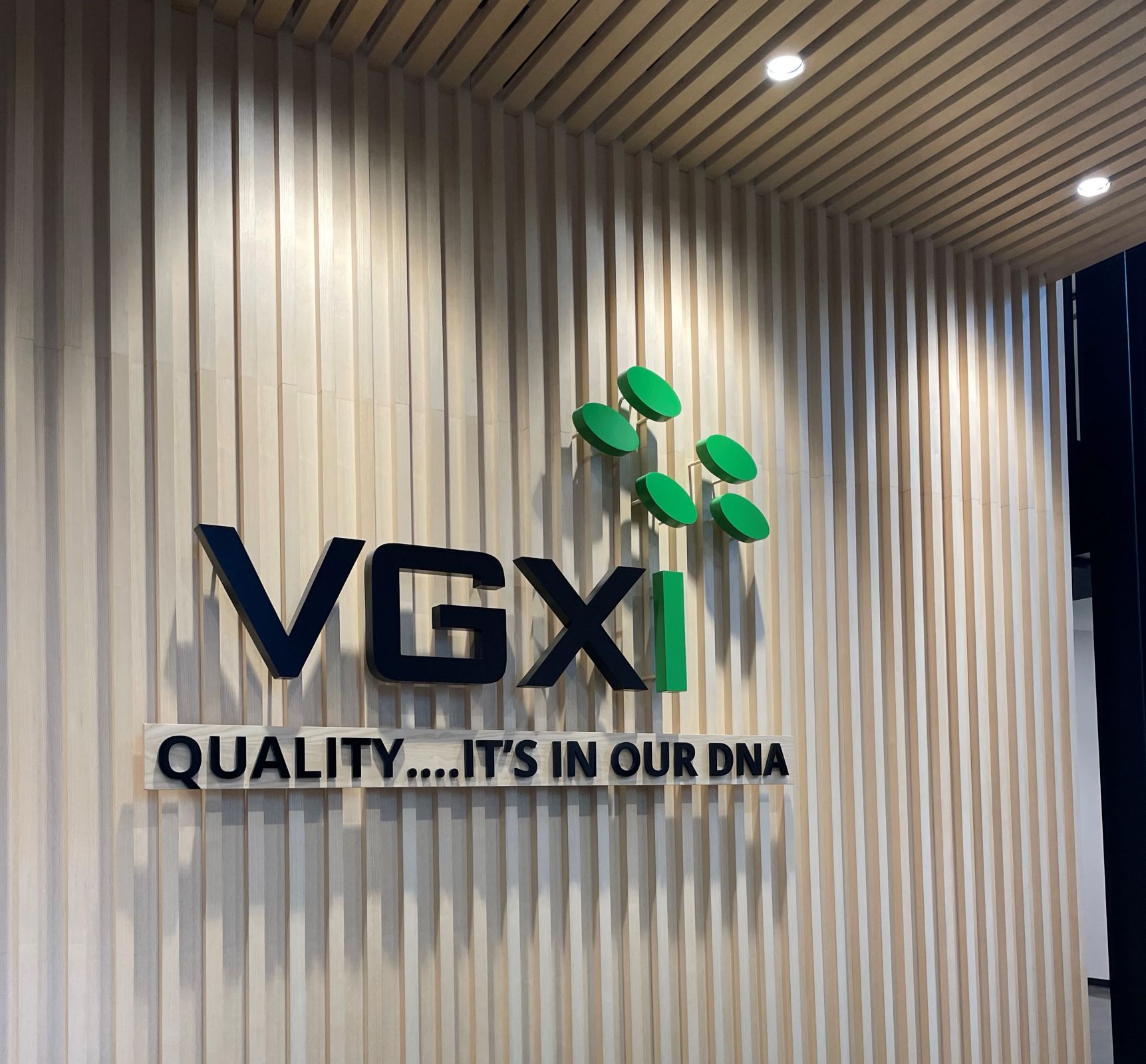 VGXI Celebrates Grand Opening in Deison Technology Park main photo