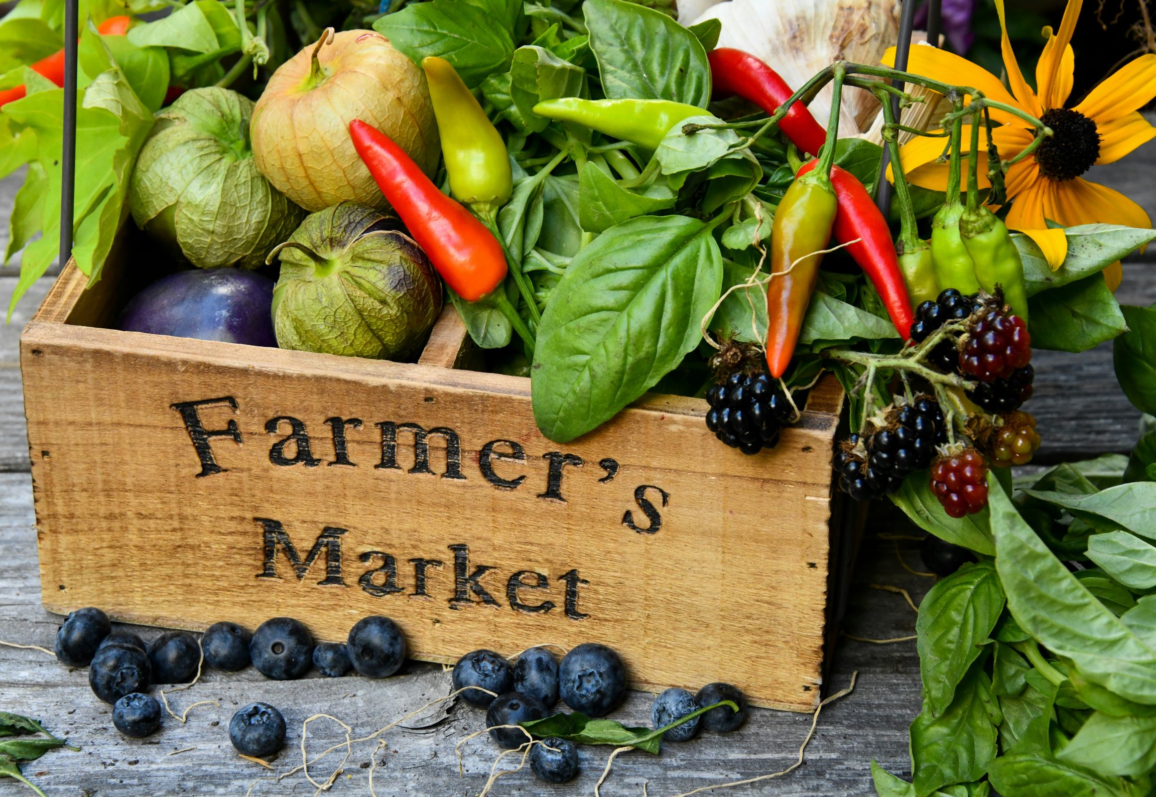 Event Promo Photo For Forest City Farmer's Market