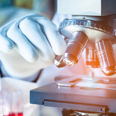 Click the Bio-Sciences photo to open