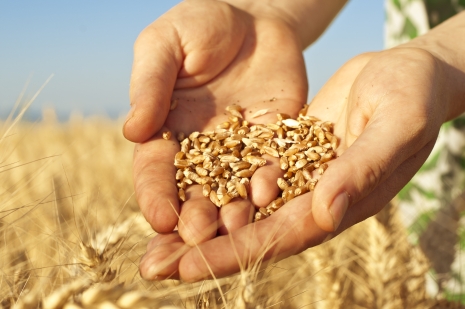 So God Made a Farmer: Celebrating the Legacy of Our Growers Photo