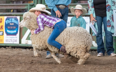 Here We Go! Time for the Wall Celebration RODEO! Main Photo