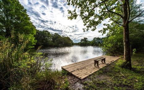 Armand Bayou Nature Center Photo