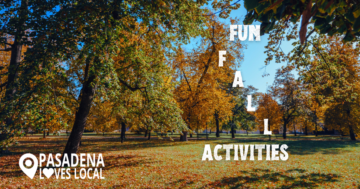 Fun Fall Activities in Pasadena Main Photo