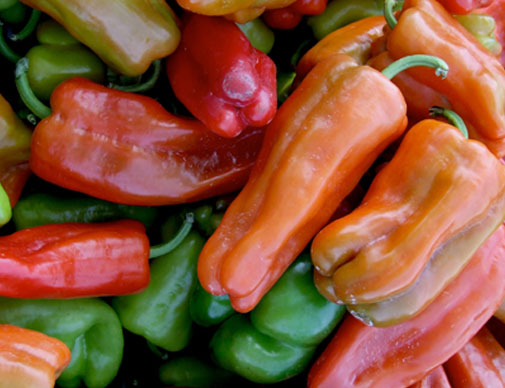 Click the Agriculture photo to open