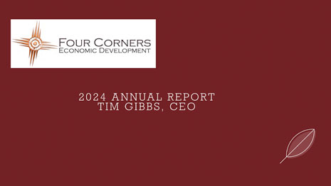 annual report cover