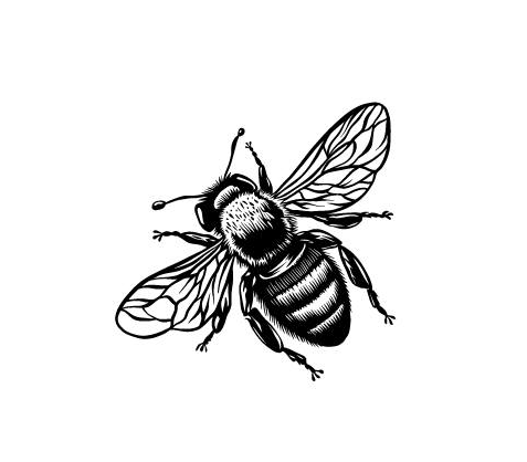 Made Whole Food Co's Logo