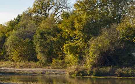 Alexandria State Lakes Photo