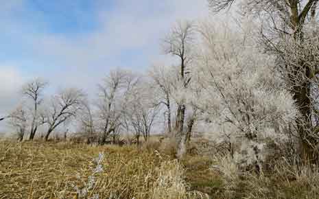 Alexandria State Recreation Area Photo