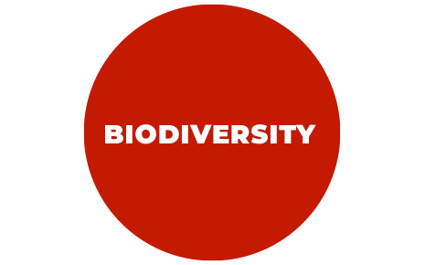 biodiversity graphic