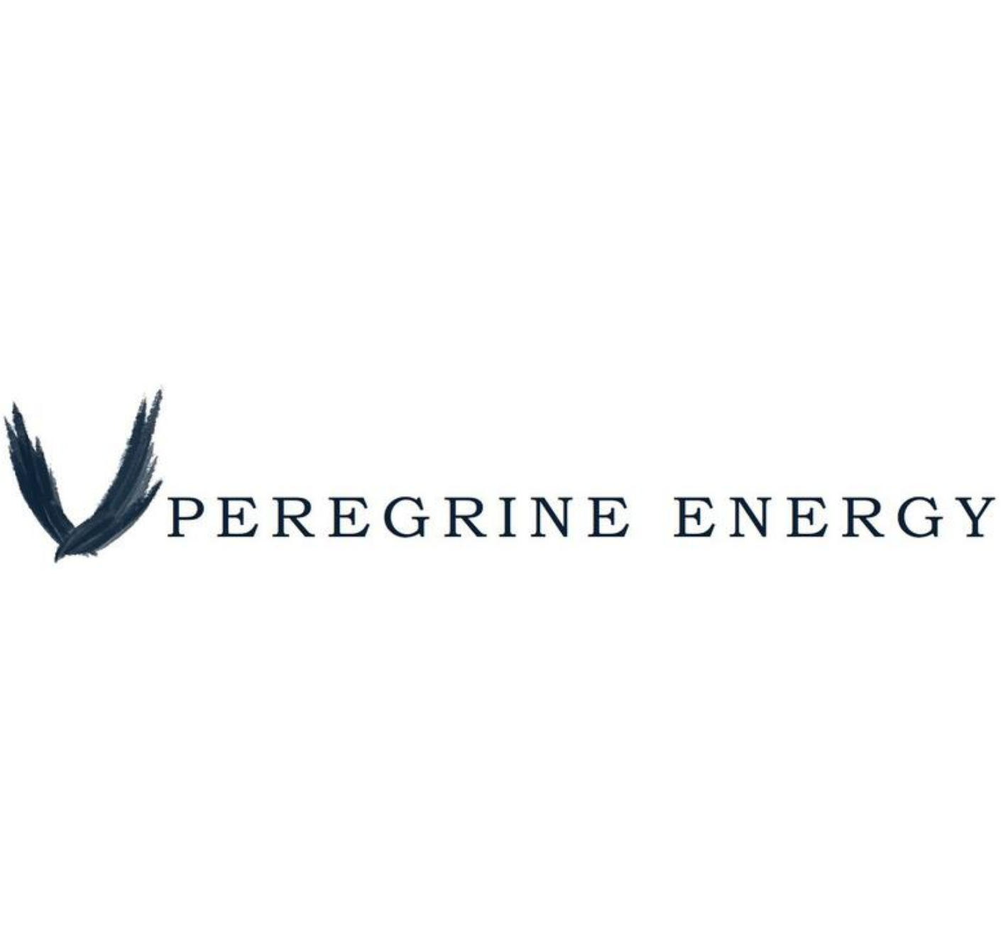 Peregrine Energy Solutions Announces $400 Million Battery Energy Storage Project in Harrison County, Texas Main Photo