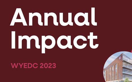 2023 Annual Impact