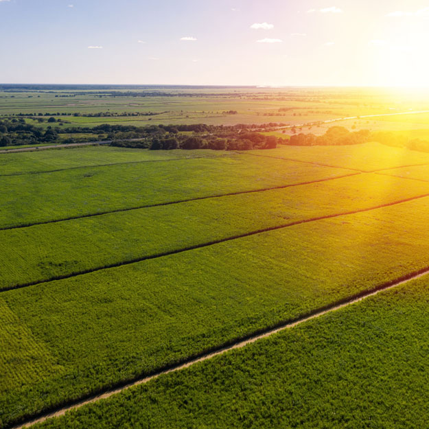 High-Tech Agribusiness